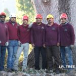 J.R. Tree Service